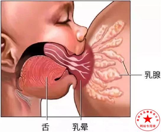 漲奶怎么辦？